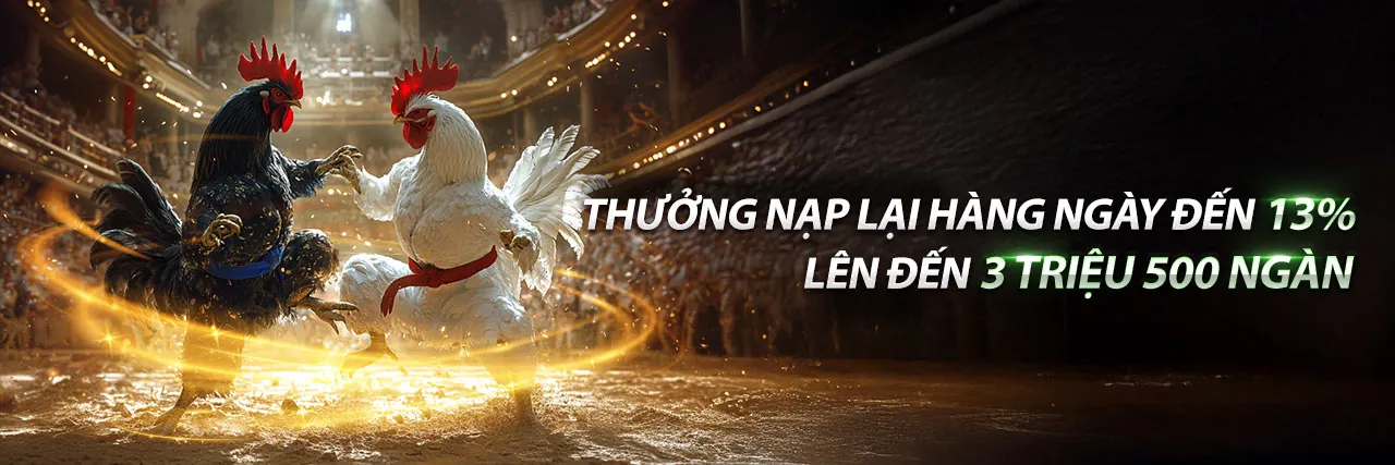 Game Bài và Đá Gà Cựa Dao Trực Tiếp 2026